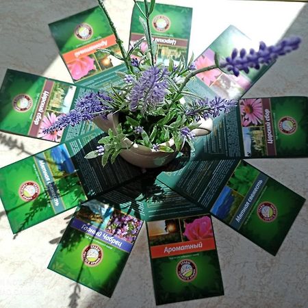 Lavender Leilighet Hévíz Eksteriør bilde